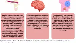 Czy mężczyzna ma estrogen? Zaskakująca prawda o hormonach płciowych