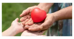 Ankieta przed oddaniem krwi: wszystkie pytania i wymogi dla krwiodawców