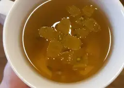 Jak przygotować domową herbatę z forsycji - prosty przepis krok po kroku