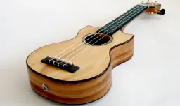 Jakie drewno na ukulele wybrać: porównanie 7 najlepszych gatunków