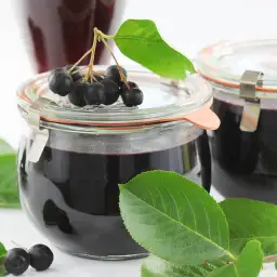 Jak zrobić sok z aronii na zimę – prosty przepis i skuteczne przechowywanie