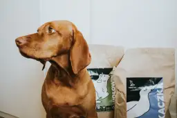 Karma TAKIPIES - wszystko o naturalnym odżywianiu twojego psa bez zbóż