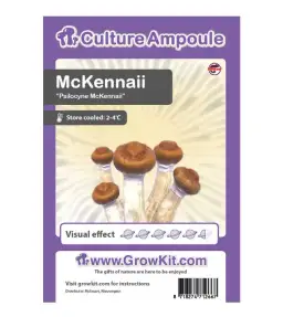 5 fascynujących zastosowań grzybów McKennaii, o których mało się mówi