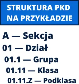 Co to jest klasa działalności PKD i dlaczego jest kluczowa dla Twojej firmy