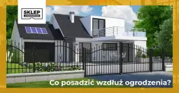 Czym obsadzić płot, aby zyskać piękno i prywatność w ogrodzie