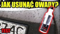 Jak usunąć owady z karoserii i chronić lakier przed uszkodzeniem