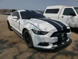 Czy opłaca się sprowadzić Mustanga z USA? Poznaj prawdziwe koszty i ryzyko