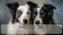 Znaczenie snu o dwóch dużych psach - poznaj ważne ostrzeżenia i symbole