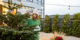 Ozdoby świąteczne do ogrodu jak zrobić - proste i efektowne pomysły