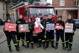 Gdzie potrzebują wolontariuszy? Kompletna lista miejsc i organizacji