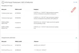 Jak sprawdzić firmę w BIK i uniknąć finansowych pułapek