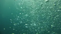 Jak ustawić napowietrzanie oczyszczalni, aby uniknąć problemów z wydajnością