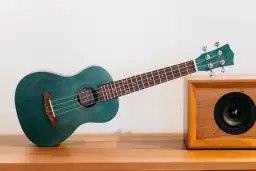 Czy warto kupić ukulele: 5 powodów, które pomogą podjąć decyzję
