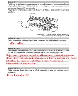 Co po rozszerzonej biologii? Kierunki studiów i zawody, które warto rozważyć