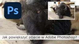Jak powiększyć obraz w Photoshopie bez utraty jakości i szczegółów