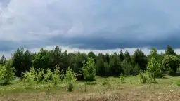 Ostrów Mazowiecka atrakcje - odkryj ukryte skarby i piękne miejsca