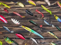 Zakazana przynęta na ryby - unikaj nielegalnych i szkodliwych rodzajów