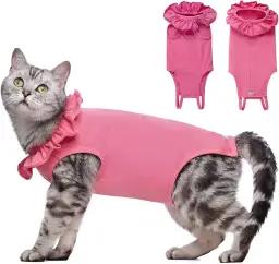 7 najlepszych alternatyw zamiast kołnierza dla kota po zabiegu i leczeniu