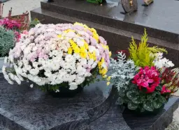 Jakie krzewy na cmentarz: piękne rośliny, które przetrwają lata