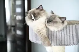 Jak znaleźć motywację do nauki i osiągnąć lepsze wyniki