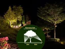 Jak podświetlić drzewo w ogrodzie – efektywne metody i najlepsze lampy