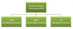 9 korzyści z krótkołańcuchowych kwasów tłuszczowych dla zdrowia