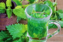 Właściwości herbaty z pokrzywy: 7 korzyści zdrowotnych i zastosowań