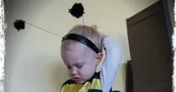 Jak zrobić strój pszczółki dla chłopca - proste i kreatywne pomysły