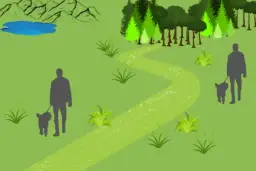 Jak prawidłowo wykonać spacer równoległy z psem - najważniejsze zasady