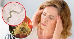 Pasożyty w mózgu: Ukryte zagrożenie dla zdrowia. Objawy i leczenie