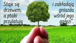 Przypowieść o gorczycy: Jak małe zaczyna rosnąć w wielkie?