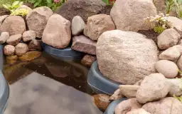 Jak zrobić skalniak z kamieni polnych - unikaj najczęstszych błędów