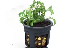 Najlepsza Doniczka na Ziemniaki - Wybierz Idealną do Hodowli w Domu