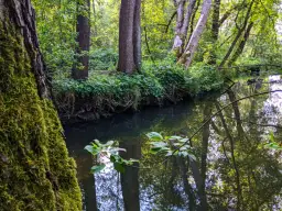 Rezerwat Przyrody Puszcza Słupecka – co warto wiedzieć przed wizytą i jak uniknąć błędów