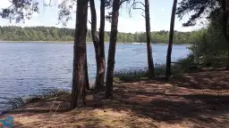 Jezioro Moczydło Lubuskie - piękne miejsce na wędkowanie i relaks