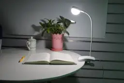 Co to literatura faktu? Definicja, przykłady i różnice od beletrystyki