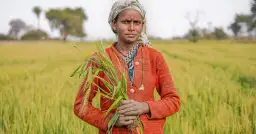 Zrównoważone rolnictwo: Co to jest, jakie korzyści przynosi i jak je wdrożyć?