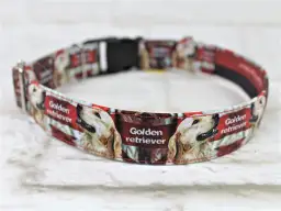 Jak dobrać idealną obrożę dla golden retrievera - kompletny poradnik