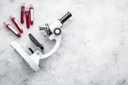 Podwyższony poziom bazocytów: co to oznacza dla zdrowia?