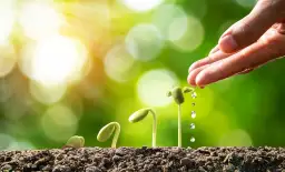 Czym się sugerować przy wyborze agrotkaniny? Sprawdź porady od sklepu ogrodniczego eGarden.pl