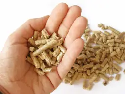 Jaki pellet polecacie na forum? Oto opinie i recenzje użytkowników