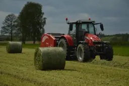 Do kiedy siać poplon arimr - uniknij błędów w siewie!