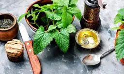 Prosty sposób jak zrobić napar ze świeżej melisy: domowy przepis na relaks