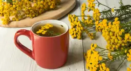 Jak zrobić napar z wrotycza: bezpieczna instrukcja krok po kroku