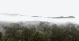 Jak rozwiązać zagadkę Kwestii Życia i Śmierci w Wiedźminie 3?