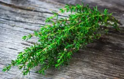 Skuteczny napar na zatoki - 5 najlepszych ziół przynoszących ulgę w chorobie