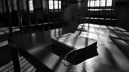 Eksperyment Zimbardo: Mroczna strona ludzkiej natury. Wyniki