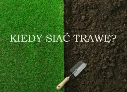 Kiedy siać trawę na trawnik, aby uniknąć błędów i cieszyć się pięknym trawnikiem?