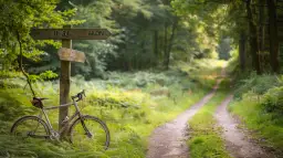 Maasmechelen: Ukryty raj dla kolarzy. Dlaczego warto odwiedzić?