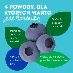 Czy borówki są zdrowe: 10 zaskakujących korzyści dla Twojego organizmu